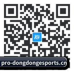 系统版 Android 二维码